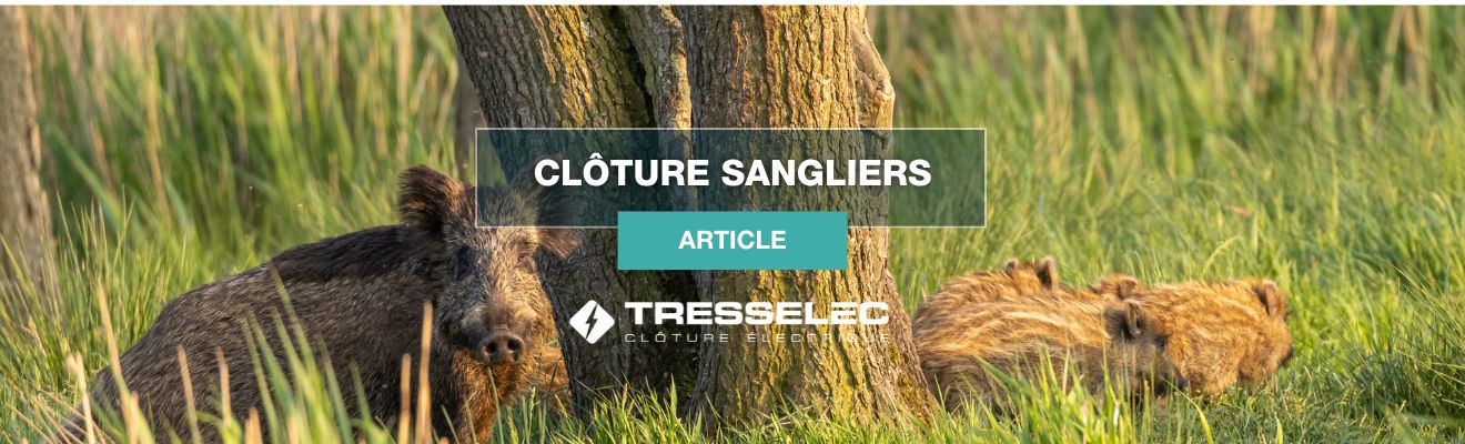 Clôture contre les sangliers avec les produits Tresselec